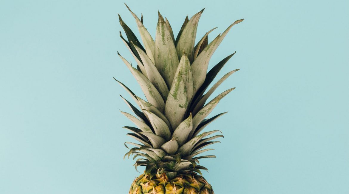 featured image